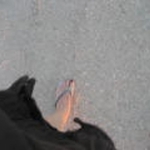 Large_thumb
