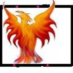 suzyphoenix