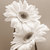 kimw1117