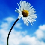 issamel