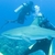 davidscubadiver