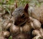 Large_thumb