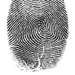 Large_thumb