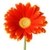 kmhsunshine