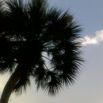 Mady5