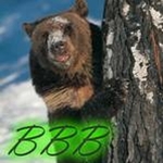 rocketbear79