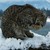 mountainlynx