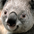 geoff1