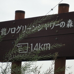 Large_thumb