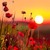 beautifulday