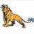 HungryTyger