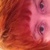cm_williamson