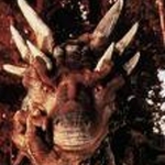 DragonHeart