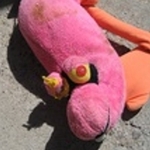 chaddq