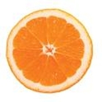citrus7
