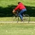 Bostonbiker