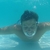 ryguy2007