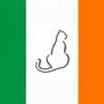 irishkat