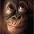 monkey4818