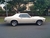 mustangsal