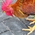 mo2vated