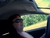 jasminedcole