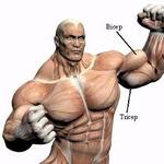 Large_thumb