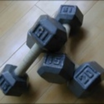 Fitness Novice