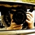 Johann_Robin