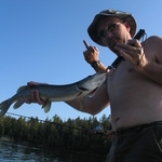 Large_thumb