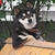canismax