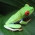 AussiMike
